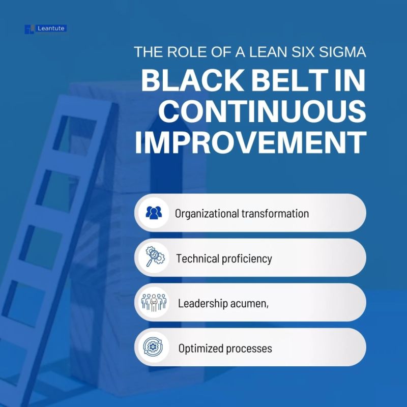 Black belt in continuous improvement – Leantute